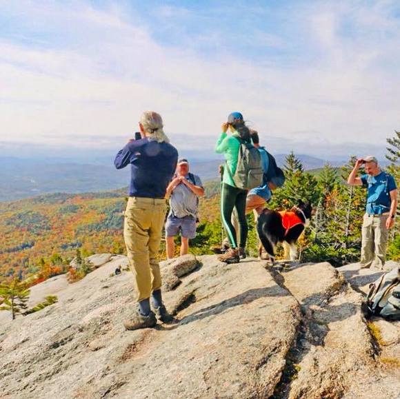 Meet your Posher, Bo - Picture 1 of 1